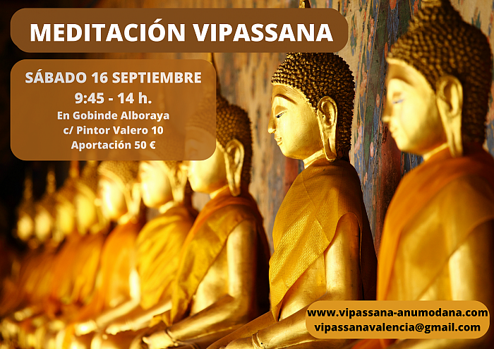 Clases Vipassana taller iniciación aprender meditación